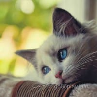 Ảnh đại diện người chơi Liễu Thùy My đánh giá Go88 Play